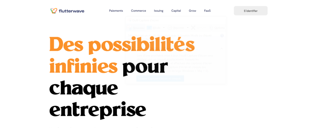 solutions de paiement en ligne