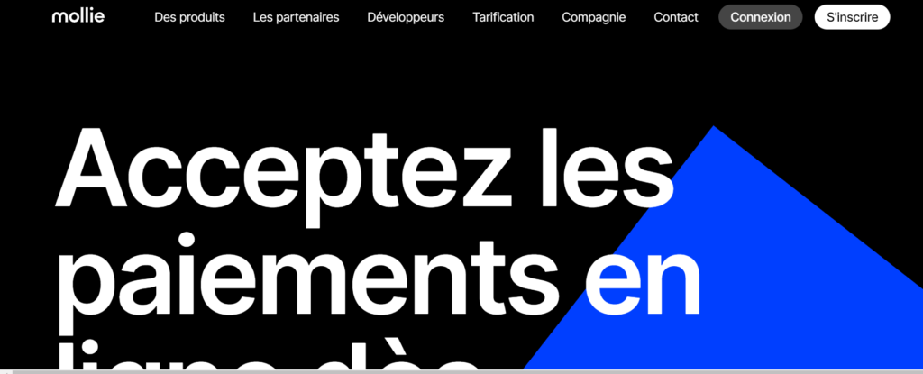 solutions de paiement en ligne
