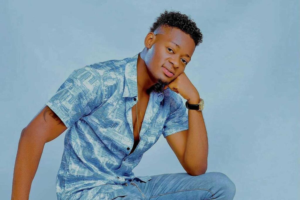 artistes togolais suivis réseaux sociaux