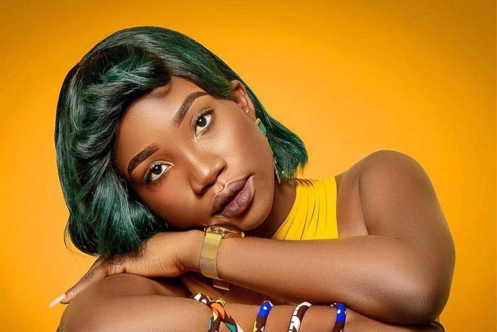 artistes togolais suivis réseaux sociaux