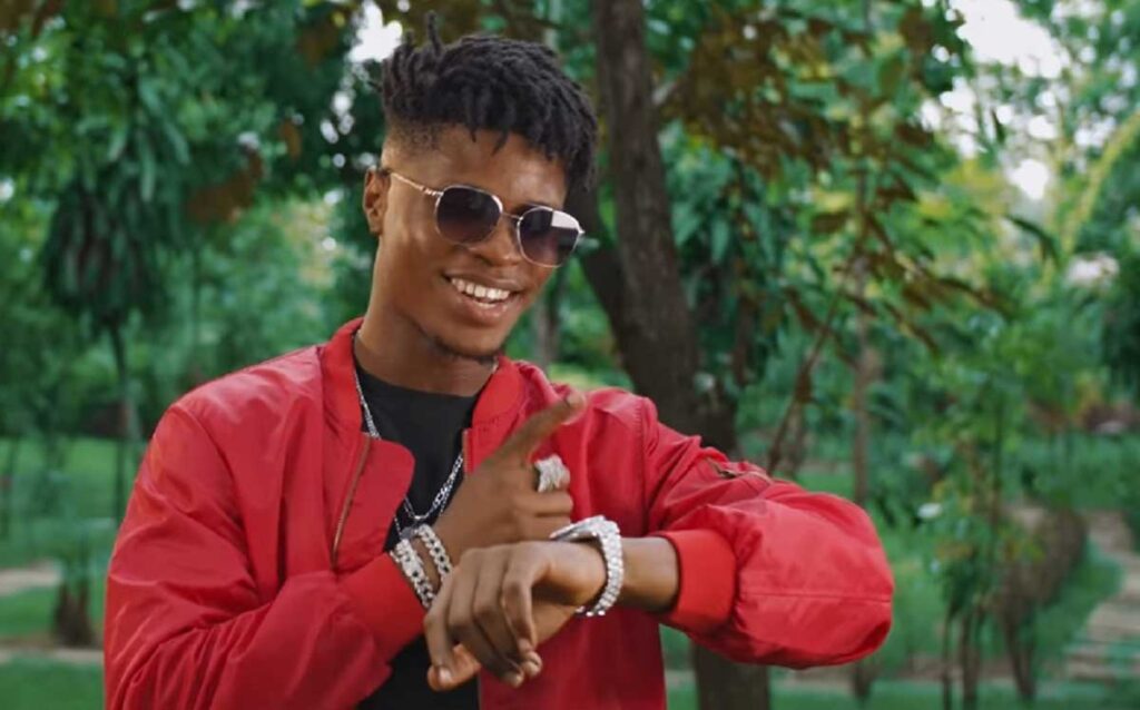 artistes togolais suivis réseaux sociaux