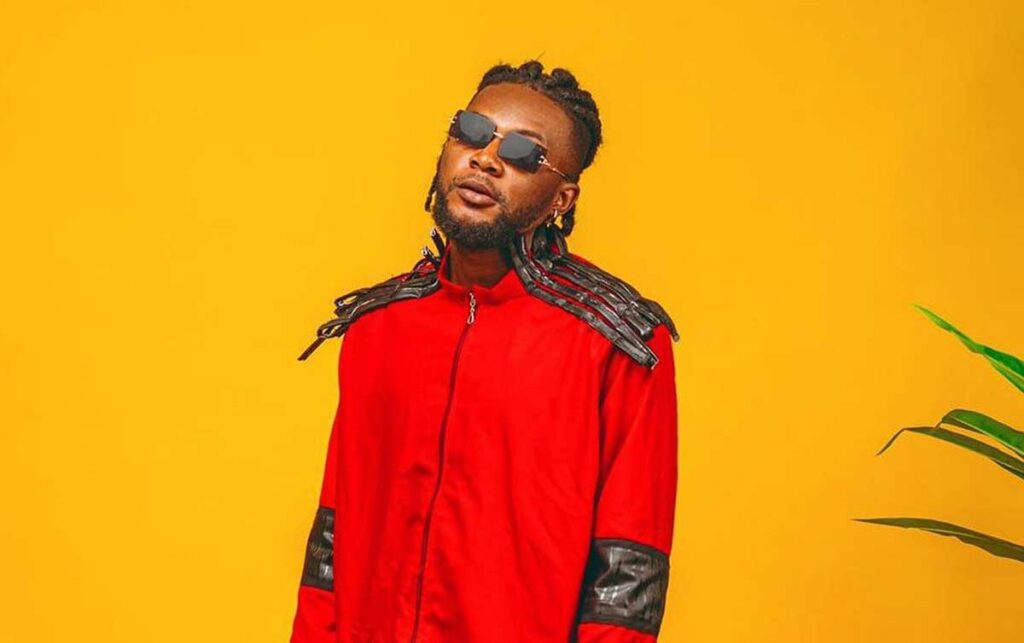 artistes togolais suivis réseaux sociaux