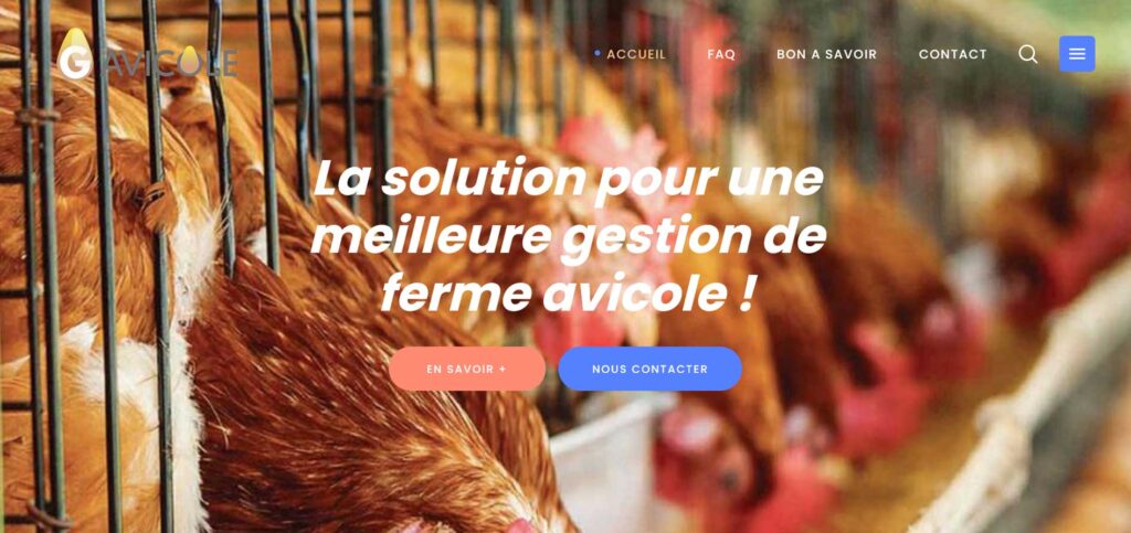 Startups togolaises 2023