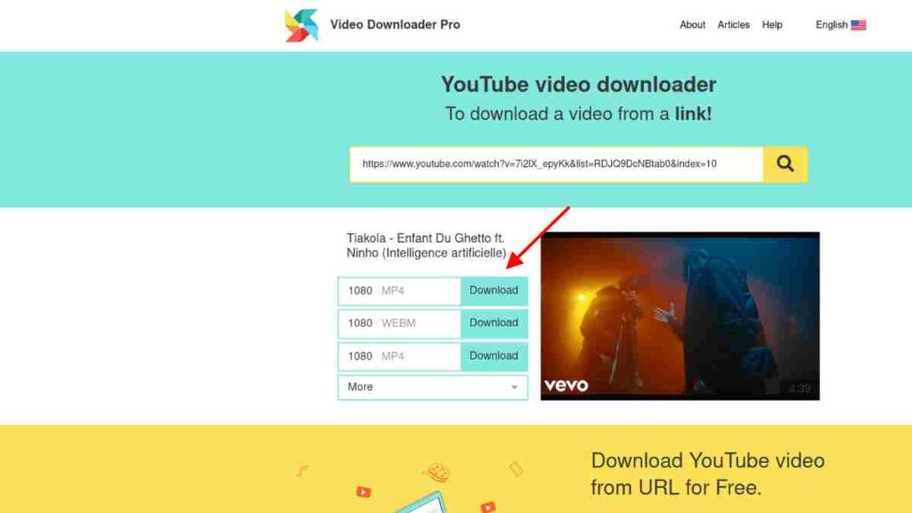 Video Downloader Pro