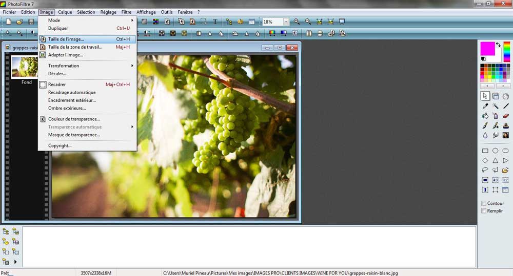 logiciels gratuits alternatifs photoshop