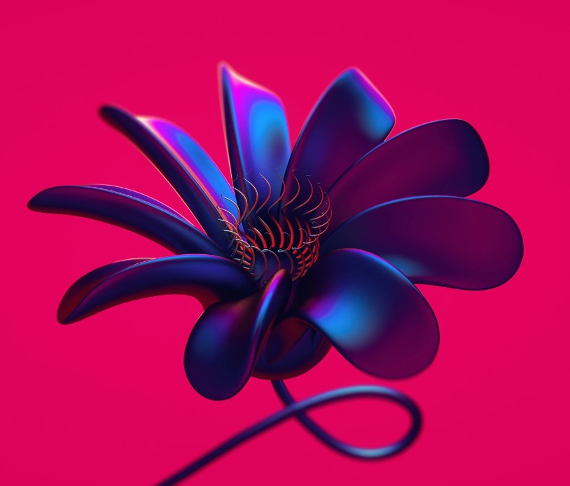 tendances design graphique Vistaprint