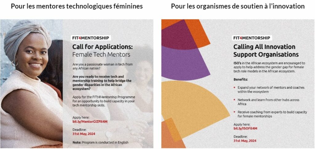 programme Fit4Mentorship