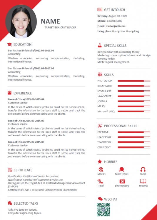 cv barres de compétences
