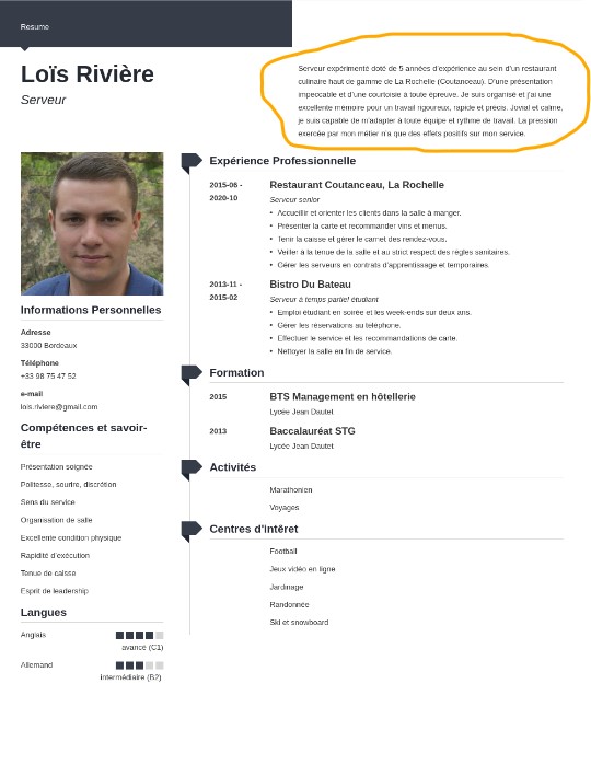 15 styles créatifs CV