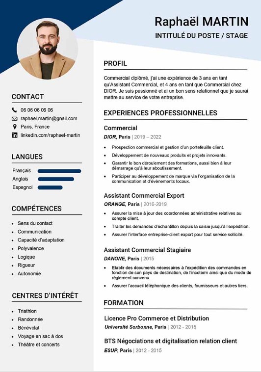 cv liste à puces