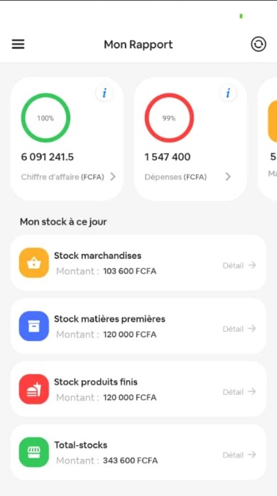 rapport d'activité